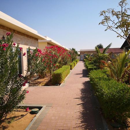 Almorouj Farm Inn - Badīyah Exteriör bild