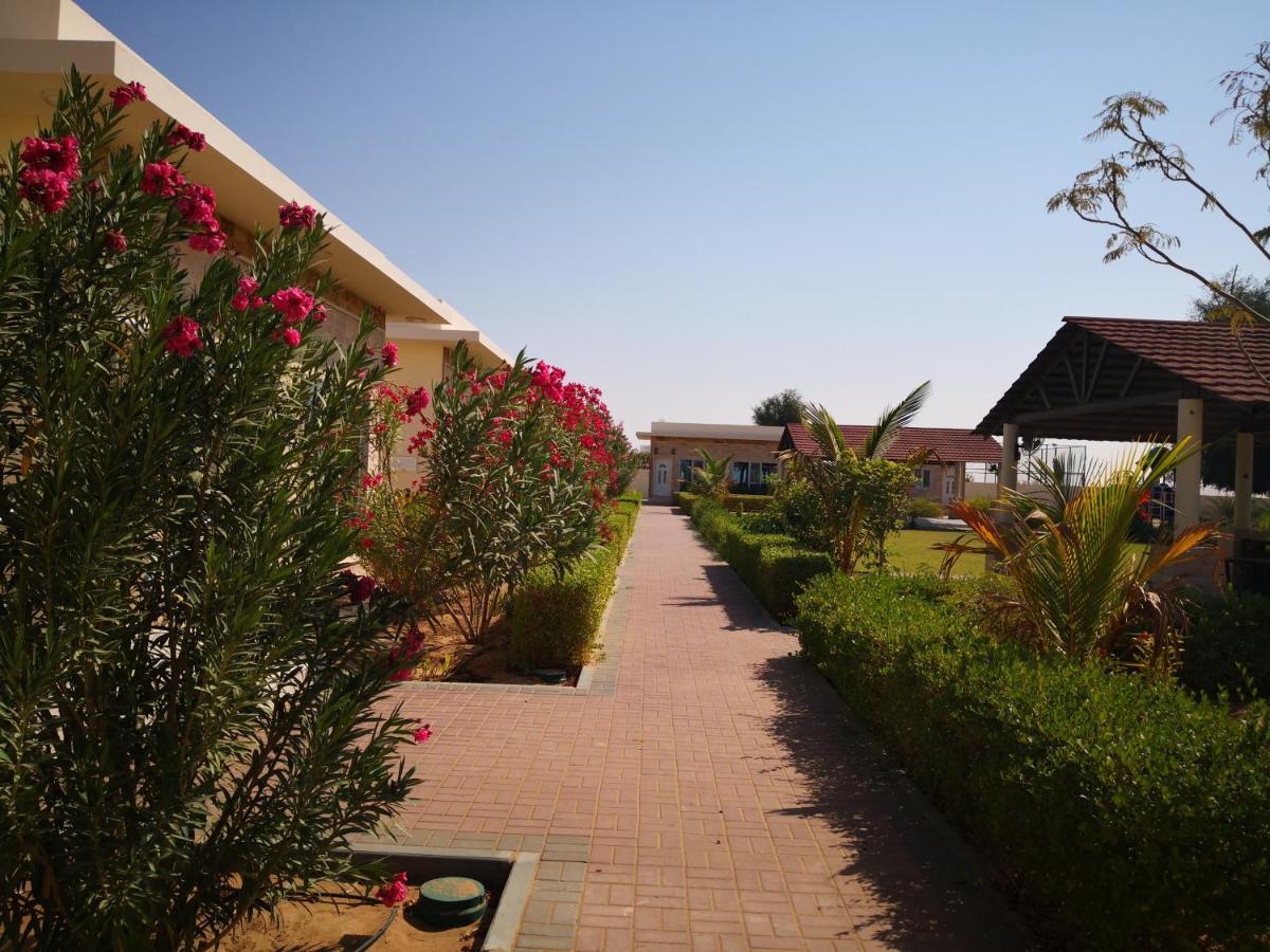 Almorouj Farm Inn - Badīyah Exteriör bild